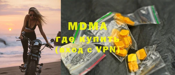индика Богородск