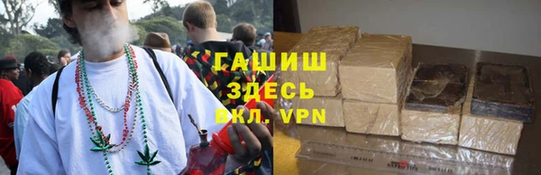 индика Богородск