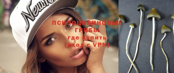 a pvp Богданович