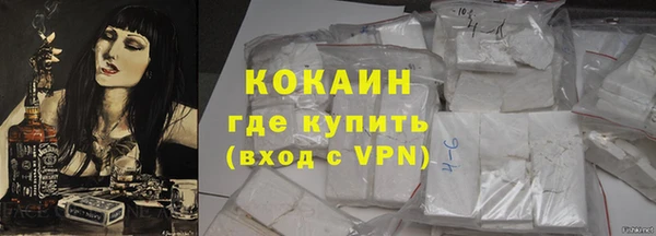 индика Богородск