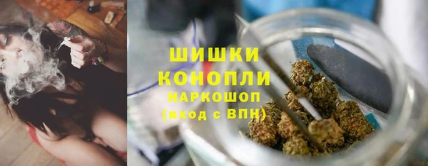 индика Богородск