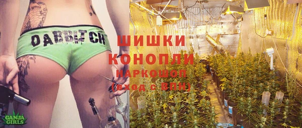 индика Богородск