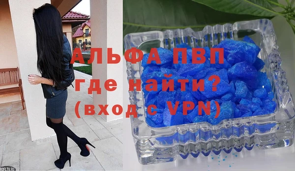 индика Богородск