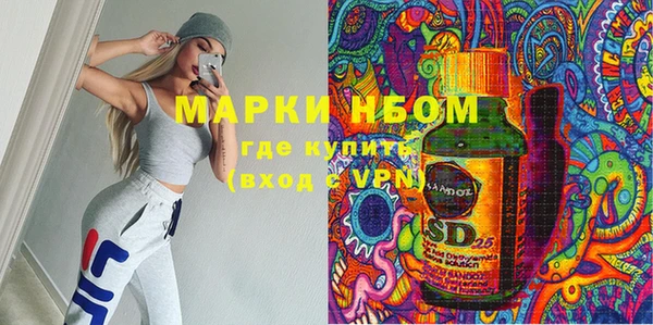 индика Богородск