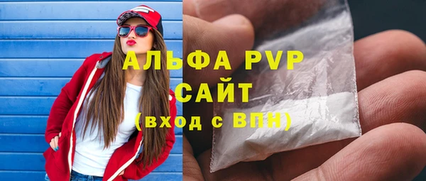 индика Богородск