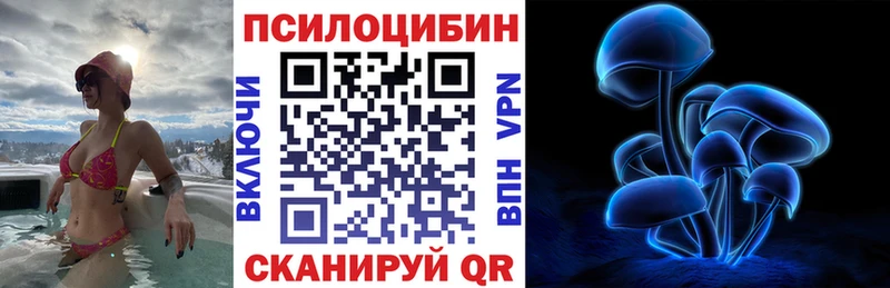 цена наркотик  Беломорск  Псилоцибиновые грибы Cubensis 
